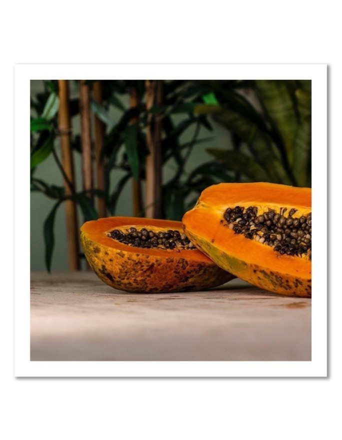 Wall art painting for the kitchen - Two halves of papaya | FEEBY