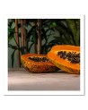 Wall art painting for the kitchen - Two halves of papaya | FEEBY