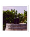 Canvas prints for the kitchen - Wine bottles and wooden barrel | FEEBY