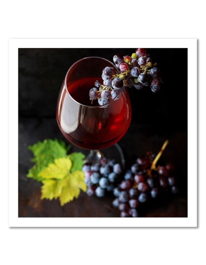 Paintings Canvas for the kitchen - Red wine and grapes | FEEBY
