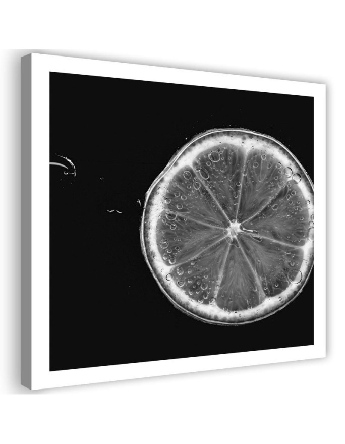 Wall art painting for kitchen - Lemon slice black and white | FEEBY
