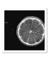 Wall art painting for kitchen - Lemon slice black and white | FEEBY