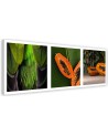 Canvas prints for kitchen or dining room - Juicy papaya set | FEEBY