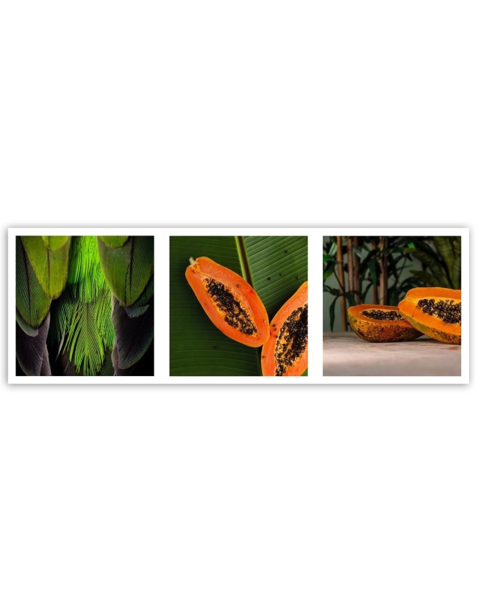 Canvas prints for kitchen or dining room - Juicy papaya set | FEEBY