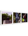 Wall art painting for dining room - Vineyard grapes panoramic | FEEBY