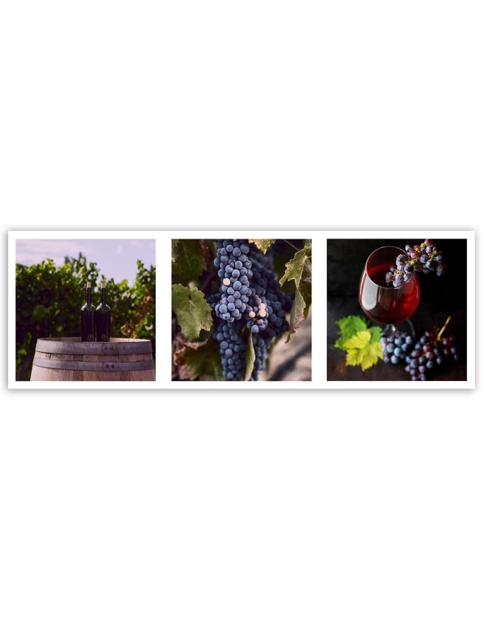 Wall art painting for dining room - Vineyard grapes panoramic | FEEBY