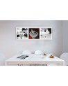 Canvas prints pictures for bar or pub - White drinks | FEEBY