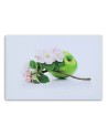 Wall art painting - Green apple and fruit tree cbranh | FEEBY