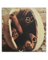 Canvas prints idea for kitchen - Vanilla sticks in walnut | FEEBY