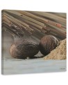 Wall art picture for kitchen - Two brown seeds | FEEBY