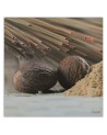 Wall art picture for kitchen - Two brown seeds | FEEBY