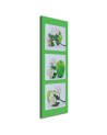 Canvas prints for restaurant wall - Green apple and flowers | FEEBY