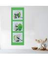 Canvas prints for restaurant wall - Green apple and flowers | FEEBY