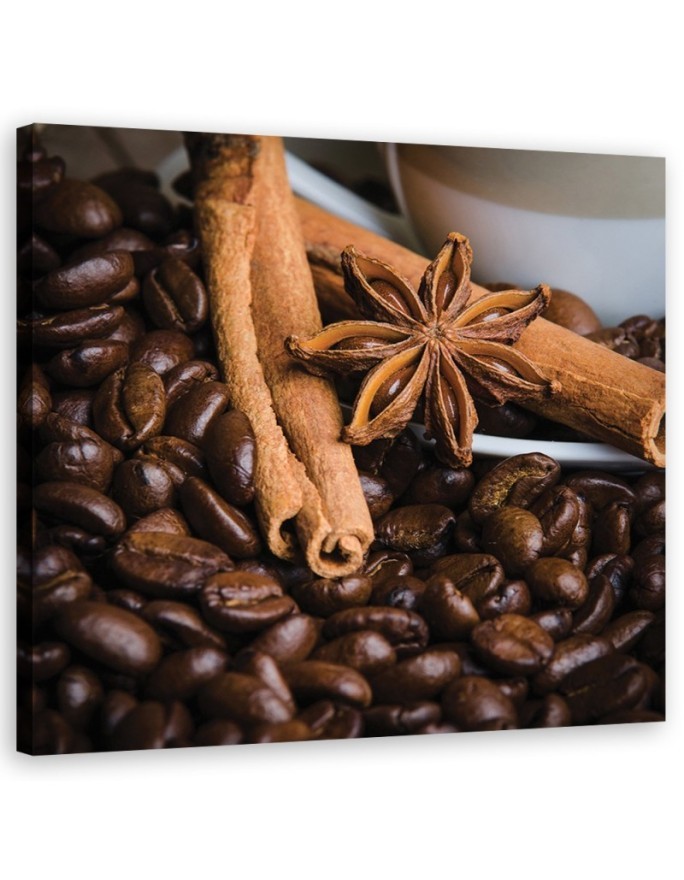 Stylish Canvas paintings for kitchen or dining room - Star anise and coffee | FEEBY