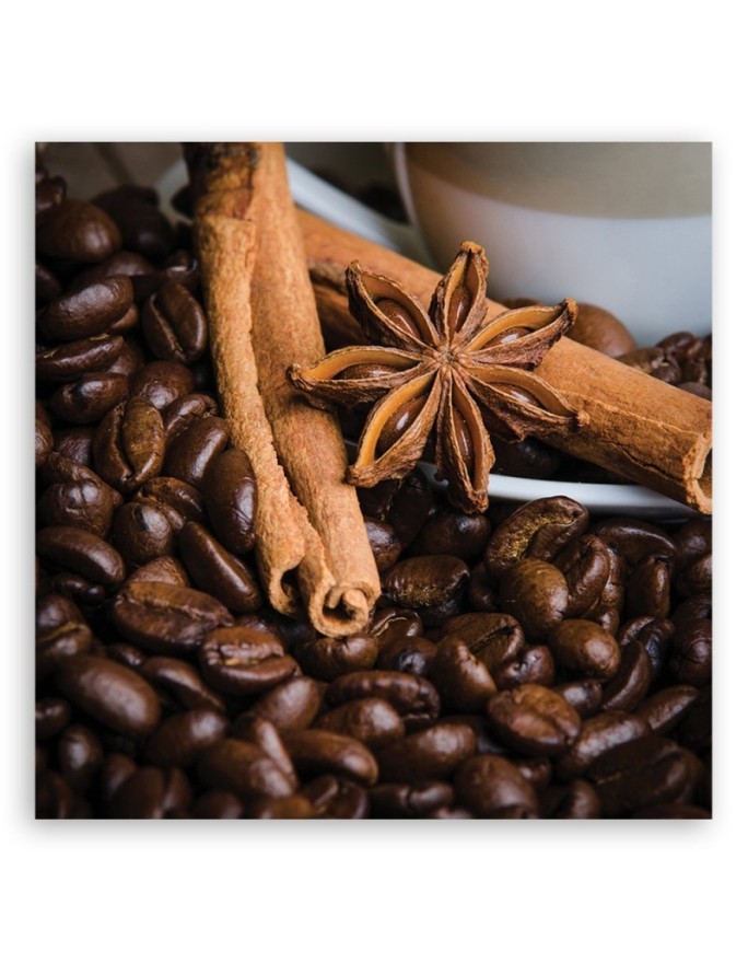 Stylish Canvas paintings for kitchen or dining room - Star anise and coffee | FEEBY