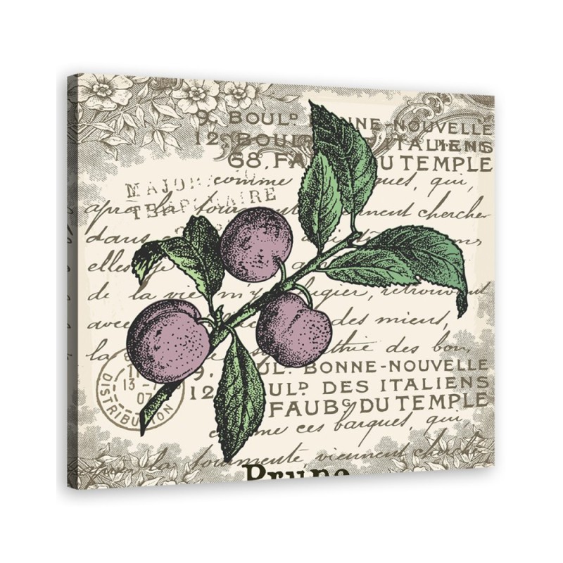 Canvas print modern - Plum vintage | FEEBY