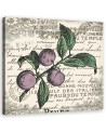 Canvas print modern - Plum vintage | FEEBY