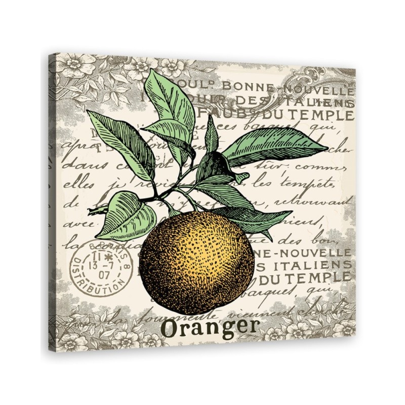 Canvas print - Vintage orange | FEEBY