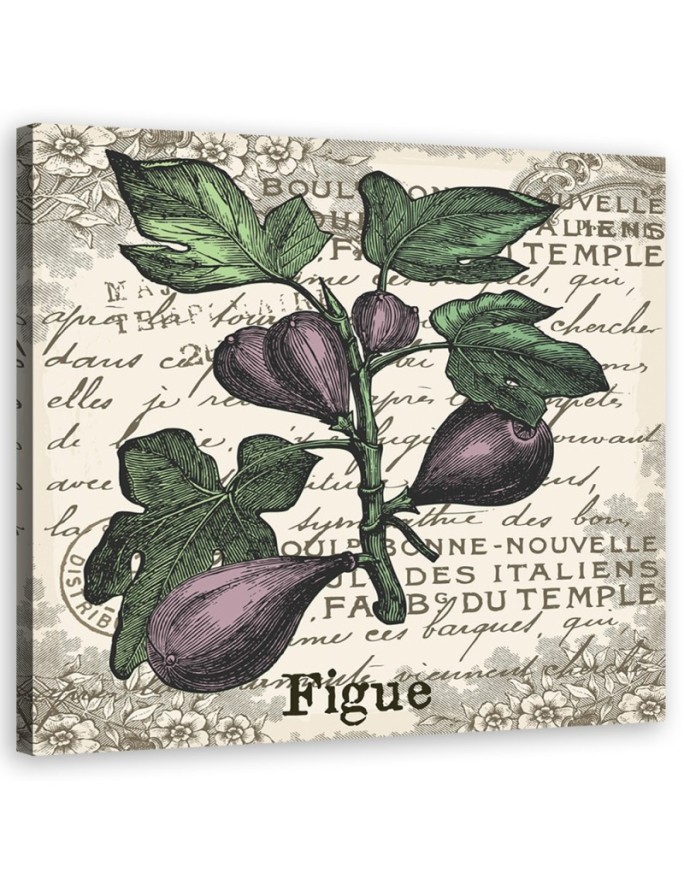 Canvas print Vintage figs
