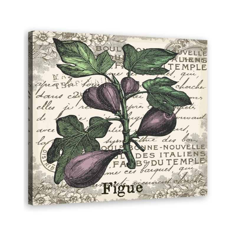 Canvas painting - Vintage figs | FEEBY