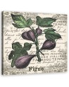 Canvas painting - Vintage figs | FEEBY