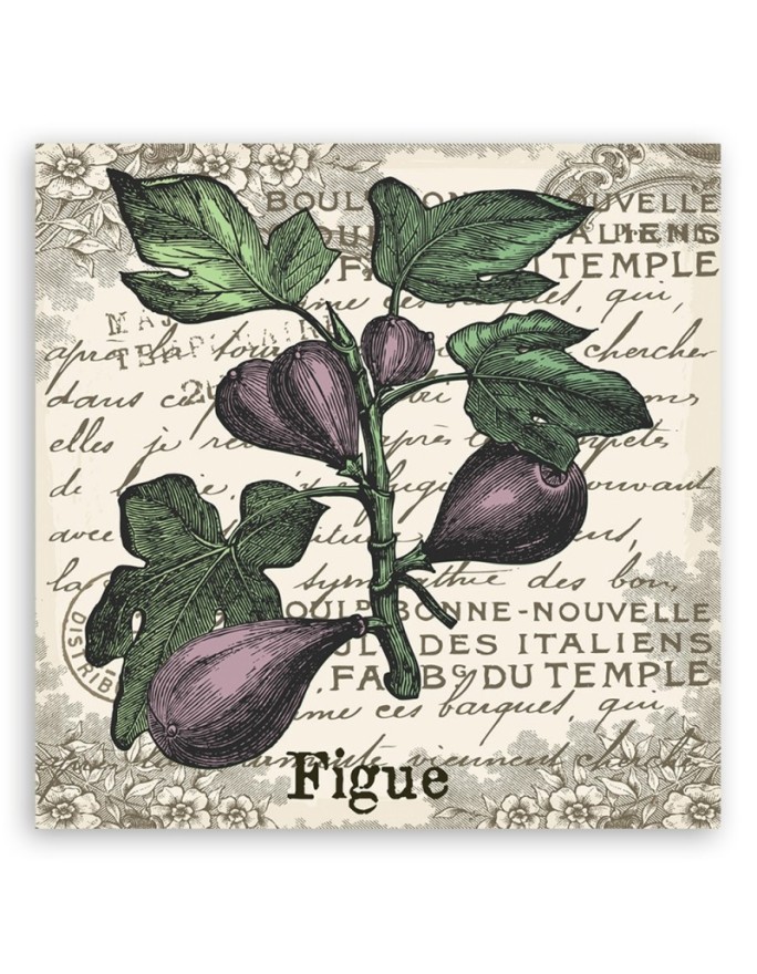 Canvas painting - Vintage figs | FEEBY