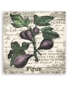 Canvas painting - Vintage figs | FEEBY