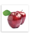 Modern Canvas painting for the kitchen - Fruit apples | FEEBY