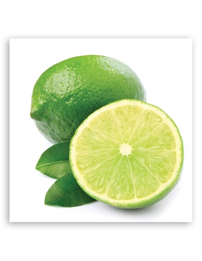 Canvas painting for the kitchen - Lime fruit | FEEBY