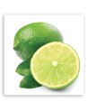 Canvas painting for the kitchen - Lime fruit | FEEBY
