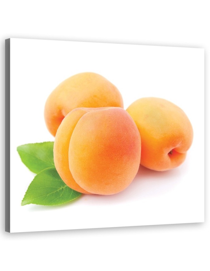 Canvas print Apricot Fruit