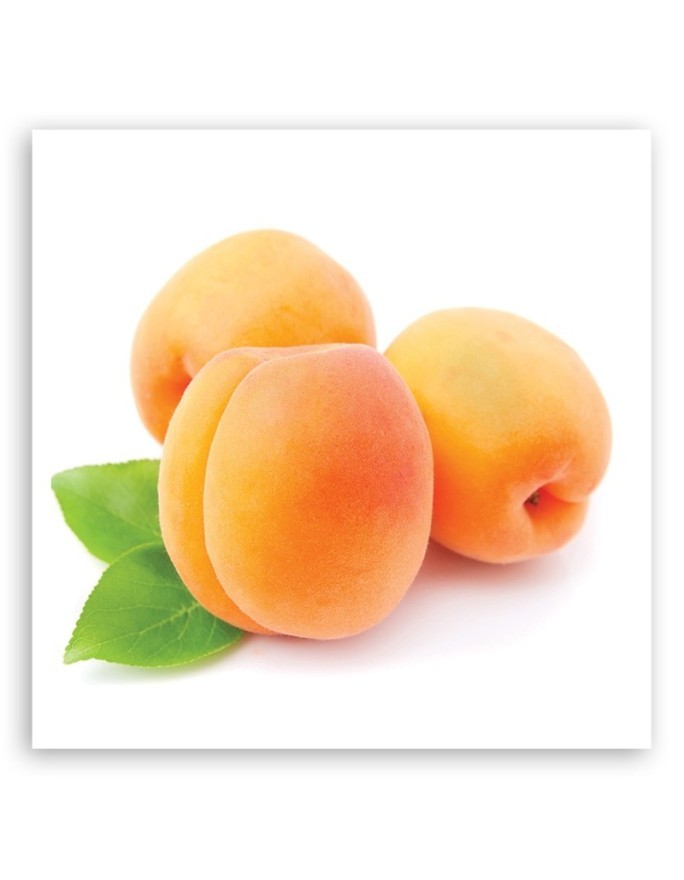 Modern canvas print - Apricot fruit | FEEBY