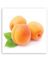 Modern canvas print - Apricot fruit | FEEBY