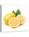 Canvas print - Lemon fruit | FEEBY