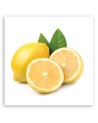 Canvas print - Lemon fruit | FEEBY