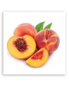 Canvas print - Peach fruit | FEEBY