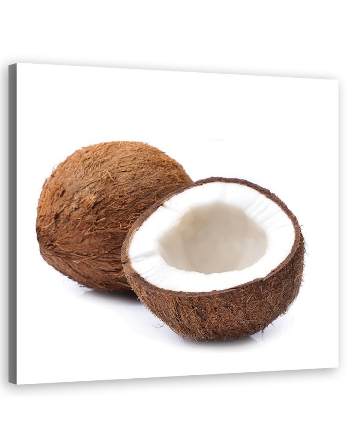 Modern Canvas painting for the kitchen - Fruit coconut | FEEBY