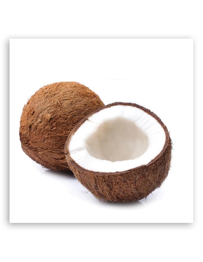 Modern Canvas painting for the kitchen - Fruit coconut | FEEBY