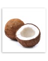 Modern Canvas painting for the kitchen - Fruit coconut | FEEBY