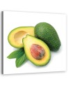 Wall art for the kitchen - Avocado fruit | FEEBY