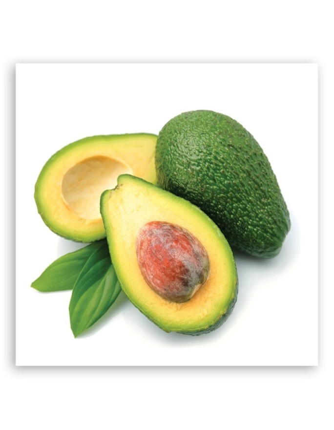 Wall art for the kitchen - Avocado fruit | FEEBY