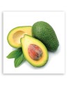 Wall art for the kitchen - Avocado fruit | FEEBY