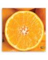 Orange macro - Canvas print for kitchen | FEEBY