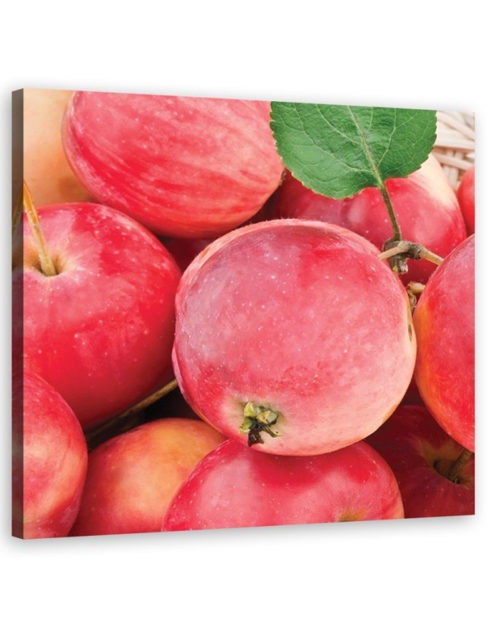 Apple macro - Canvas print modern | FEEBY