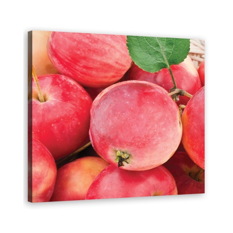 Apple macro - Canvas print modern | FEEBY