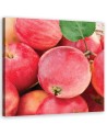 Apple macro - Canvas print modern | FEEBY