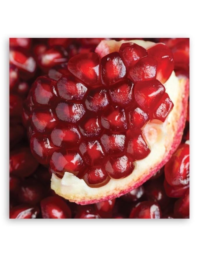 Pomegranate macro - Canvas print | FEEBY