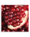 Pomegranate macro - Canvas print | FEEBY