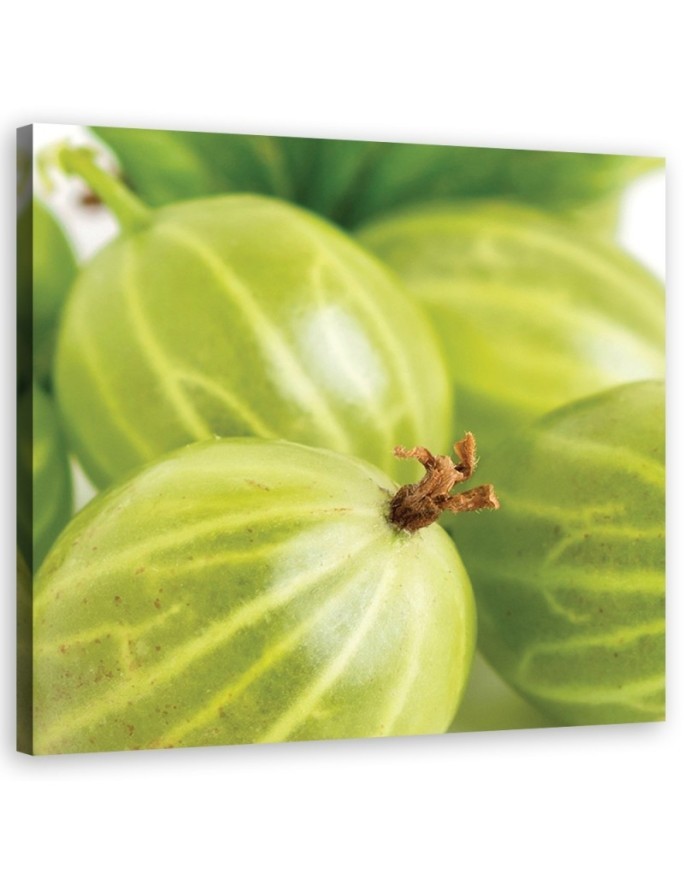 Gooseberry macro - Canvas print | FEEBY