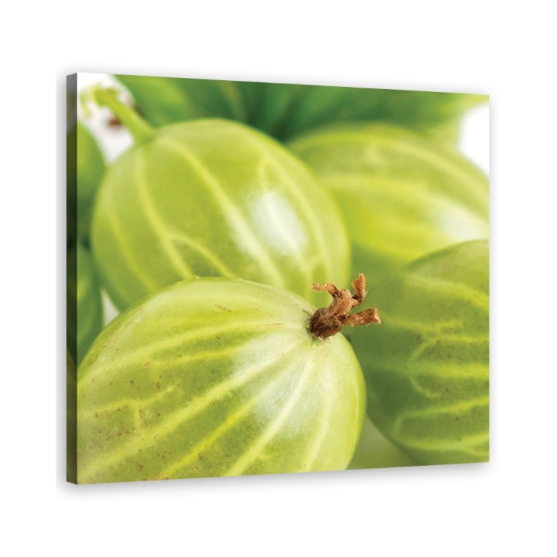 Gooseberry macro - Canvas print | FEEBY
